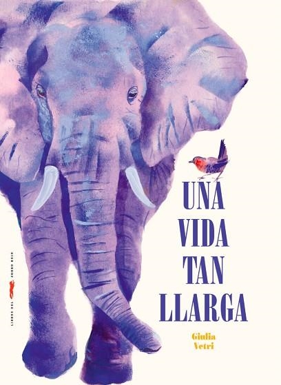VIDA TAN LLARGA, UNA | 9788412970081 | VETRI, GIULIA | Llibreria Drac - Llibreria d'Olot | Comprar llibres en català i castellà online