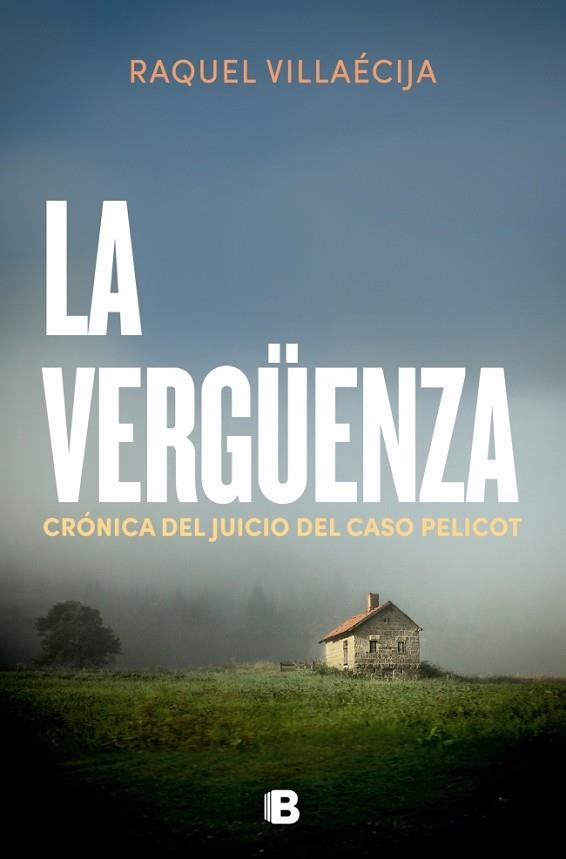 VERGÜENZA, LA | 9788466683029 | VILLAECIJA, RAQUEL | Llibreria Drac - Librería de Olot | Comprar libros en catalán y castellano online