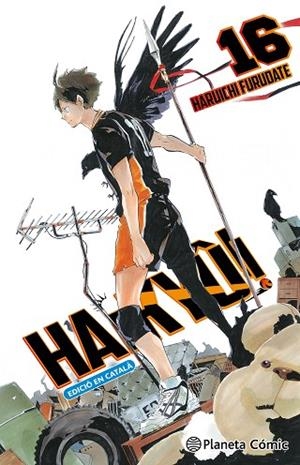 HAIKYÛ!! Nº 16/45 (CATALÀ) | 9791387779078 | FURUDATE, HARUICHI | Llibreria Drac - Llibreria d'Olot | Comprar llibres en català i castellà online