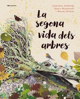 SEGONA VIDA DELS ARBRES, LA | 9788413565040 | MISEROCCHI, DANIO; MICHNO, MACIEJ | Llibreria Drac - Librería de Olot | Comprar libros en catalán y castellano online