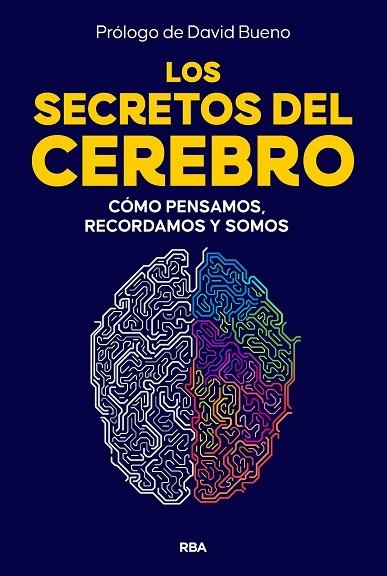 SECRETOS DEL CEREBRO, LOS | 9788410981249 | BUENO, DAVID | Llibreria Drac - Llibreria d'Olot | Comprar llibres en català i castellà online