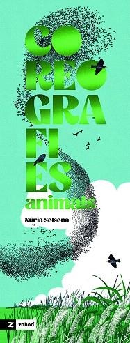 COREOGRAFIES ANIMALS | 9791387709525 | SOLSONA, NÚRIA | Llibreria Drac - Llibreria d'Olot | Comprar llibres en català i castellà online