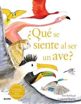 ¿QUÉ SE SIENTE AL SER UN AVE? | 9788410048096 | BIRKHEAD, TIM; RAYNER, CATHERINE | Llibreria Drac - Llibreria d'Olot | Comprar llibres en català i castellà online