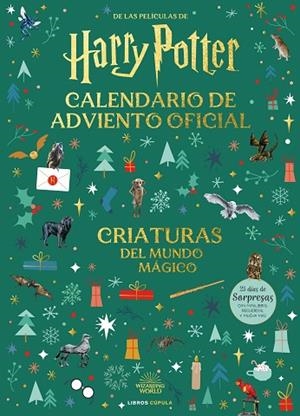 HARRY POTTER: CALENDARIO DE ADVIENTO 2025 | 9788448045128 | AA.DD. | Llibreria Drac - Llibreria d'Olot | Comprar llibres en català i castellà online