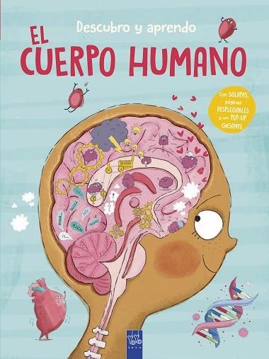 DESCUBRO Y APRENDO. EL CUERPO HUMANO | 9788408302087 | YOYO | Llibreria Drac - Llibreria d'Olot | Comprar llibres en català i castellà online