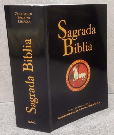 SAGRADA BIBLIA (ED. POPULAR - RÚSTICA) | 9788422017028 | AA.DD. | Llibreria Drac - Librería de Olot | Comprar libros en catalán y castellano online