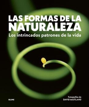 FORMAS DE LA NATURALEZA, LAS | 9788410469822 | MAITLAND, DAVID | Llibreria Drac - Llibreria d'Olot | Comprar llibres en català i castellà online