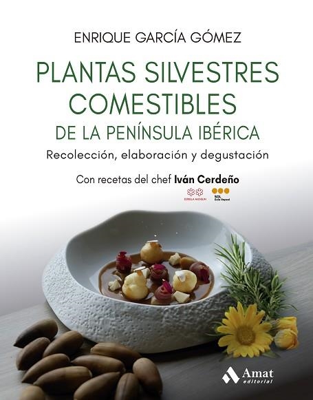 PLANTAS SILVESTRES COMESTIBLES DE LA PENÍNSULA IBÉRICA | 9788410451384 | GARCÍA GÓMEZ, ENRIQUE | Llibreria Drac - Librería de Olot | Comprar libros en catalán y castellano online