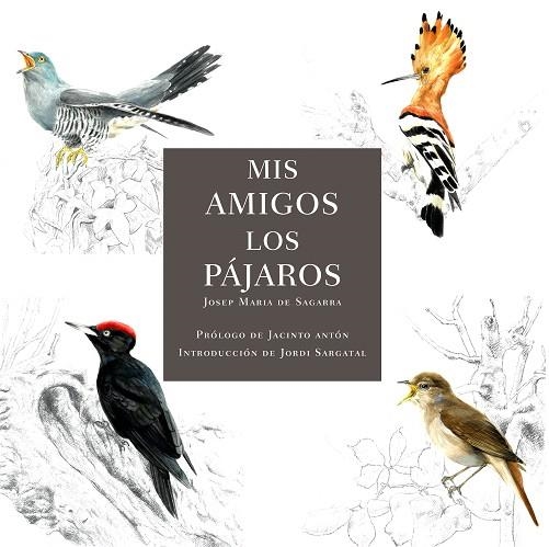 MIS AMIGOS LOS PÁJAROS | 9788412949032 | DE SAGARRA, JOSEP MARIA | Llibreria Drac - Llibreria d'Olot | Comprar llibres en català i castellà online