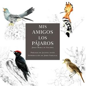 MIS AMIGOS LOS PÁJAROS | 9788412949032 | DE SAGARRA, JOSEP MARIA | Llibreria Drac - Llibreria d'Olot | Comprar llibres en català i castellà online