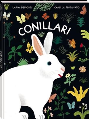 CONILLARI | 9788419913760 | ILARIA, DEMONTI | Llibreria Drac - Llibreria d'Olot | Comprar llibres en català i castellà online