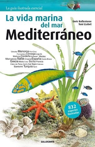 VIDA MARINA DEL MAR MEDITERRÁNEO, LA | 9788415885269 | BALLESTEROS SAGARRA, ENRIC | Llibreria Drac - Llibreria d'Olot | Comprar llibres en català i castellà online