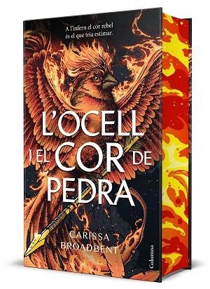 OCELL I EL COR DE PEDRA, L' | 9788466434430 | BROADBENT, CARISSA | Llibreria Drac - Llibreria d'Olot | Comprar llibres en català i castellà online