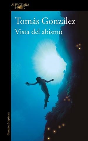 VISTA DEL ABISMO | 9788410299443 | GONZÁLEZ, TOMÁS | Llibreria Drac - Llibreria d'Olot | Comprar llibres en català i castellà online