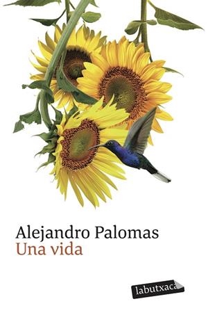 VIDA, UNA | 9791387802257 | PALOMAS, ALEJANDRO | Llibreria Drac - Librería de Olot | Comprar libros en catalán y castellano online