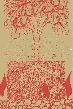 AUTONOMÍA Y SUBSISTENCIA | 9788417870423 | BERLAN, AURÉLIEN | Llibreria Drac - Librería de Olot | Comprar libros en catalán y castellano online