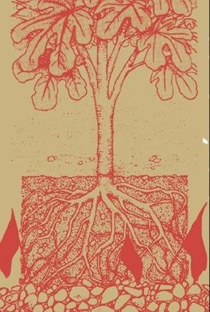 AUTONOMÍA Y SUBSISTENCIA | 9788417870423 | BERLAN, AURÉLIEN | Llibreria Drac - Librería de Olot | Comprar libros en catalán y castellano online