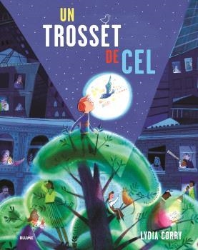 UN TROSSET DE CEL | 9791387881450 | CORRY, LYDIA | Llibreria Drac - Librería de Olot | Comprar libros en catalán y castellano online