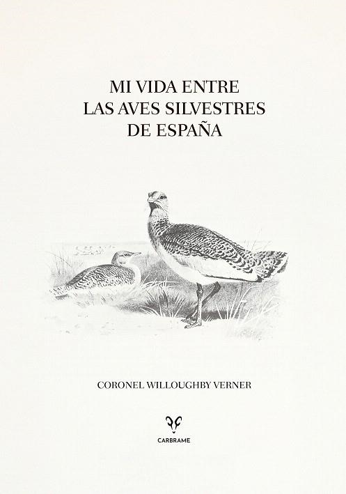 MI VIDA ENTRE LAS AVES SILVESTRES DE ESPAÑA | 9788412949049 | VERNER, CORONEL WILLOUGHBY | Llibreria Drac - Librería de Olot | Comprar libros en catalán y castellano online