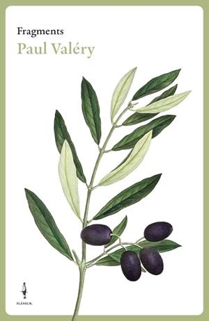 FRAGMENTS | 9788409769025 | VALÉRY, PAUL | Llibreria Drac - Llibreria d'Olot | Comprar llibres en català i castellà online