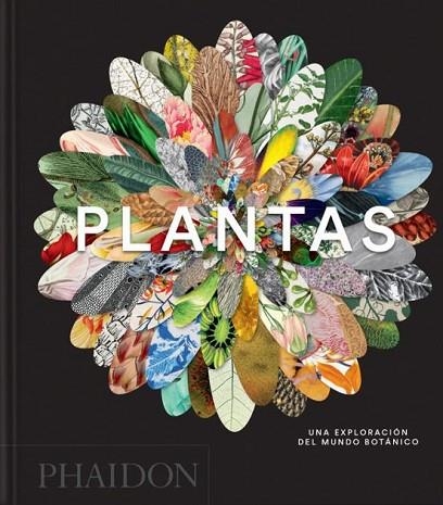 PLANTAS | 9781837291854 | VVAA | Llibreria Drac - Llibreria d'Olot | Comprar llibres en català i castellà online