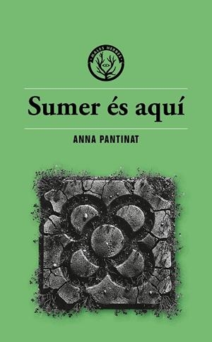SUMER ÉS AQUÍ | 9791399014686 | PANTINAT, ANNA | Llibreria Drac - Llibreria d'Olot | Comprar llibres en català i castellà online