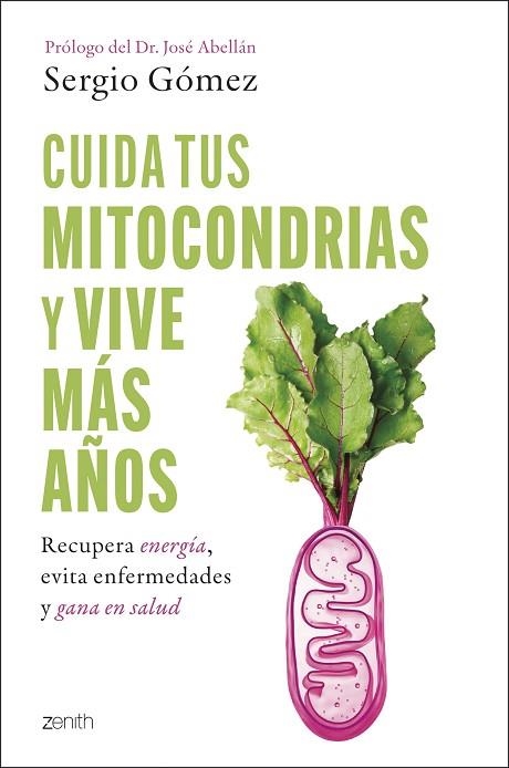 CUIDA TUS MITOCONDRIAS Y VIVE MÁS AÑOS | 9788408314394 | GÓMEZ MOLINA, SERGIO | Llibreria Drac - Librería de Olot | Comprar libros en catalán y castellano online
