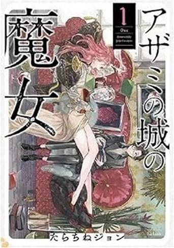 BRUIXA DEL CASTELL DELS CARDS, LA 1 | 9788412998993 | TARACHINE, JOHN | Llibreria Drac - Librería de Olot | Comprar libros en catalán y castellano online