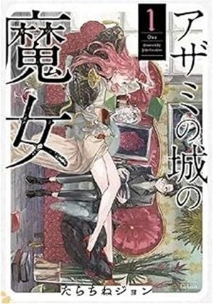 BRUIXA DEL CASTELL DELS CARDS, LA 1 | 9788412998993 | TARACHINE, JOHN | Llibreria Drac - Librería de Olot | Comprar libros en catalán y castellano online