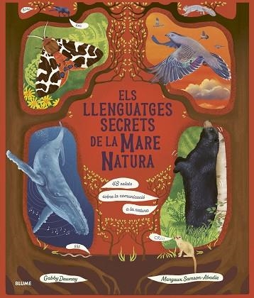 LLENGUATGES SECRETS DE LA MARE NATURA, ELS | 9788410469952 | DAWNAY, GABBY; SAMSON ABADIE, MARGAUX | Llibreria Drac - Llibreria d'Olot | Comprar llibres en català i castellà online