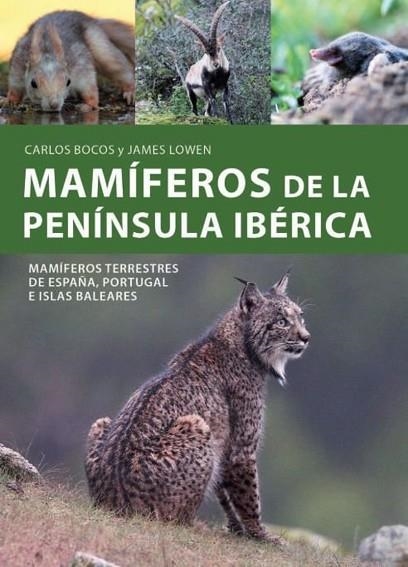 MAMIFEROS DE LA PENINSULA IBERICA | 9788428217873 | BOCOS, CARLOS; LOWEN, JAMES | Llibreria Drac - Llibreria d'Olot | Comprar llibres en català i castellà online
