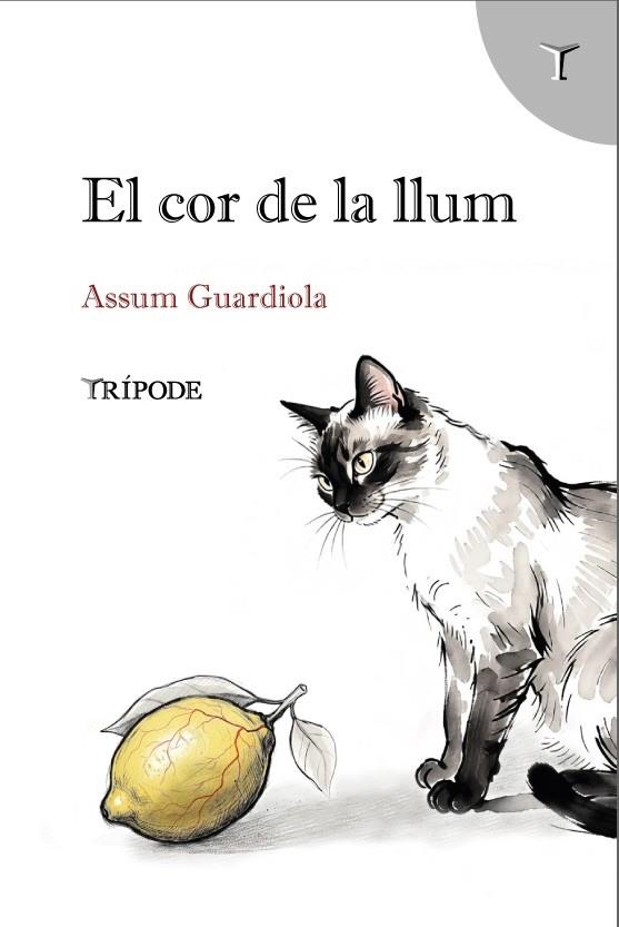 COR DE LA LLUM, EL | 9791399090376 | GUARDIOLA, ASSUM | Llibreria Drac - Librería de Olot | Comprar libros en catalán y castellano online