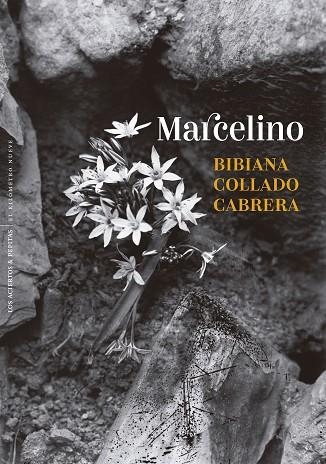 MARCELINO | 9788410476431 | COLLADO, BIBIANA | Llibreria Drac - Librería de Olot | Comprar libros en catalán y castellano online