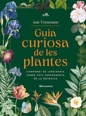GUIA CURIOSA DE LES PLANTES | 9788413565354 | TRENEMAN, ANN | Llibreria Drac - Llibreria d'Olot | Comprar llibres en català i castellà online
