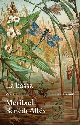 BASSA, LA | 9788417353728 | BENEDÍ, MERITXELL | Llibreria Drac - Librería de Olot | Comprar libros en catalán y castellano online
