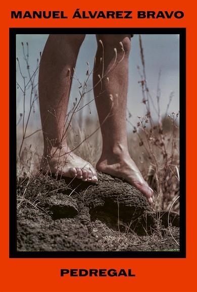PEDREGAL | 9788410290556 | ALVAREZ BRAVO, MANUEL | Llibreria Drac - Llibreria d'Olot | Comprar llibres en català i castellà online