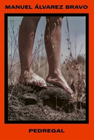 PEDREGAL | 9788410290556 | ALVAREZ BRAVO, MANUEL | Llibreria Drac - Llibreria d'Olot | Comprar llibres en català i castellà online