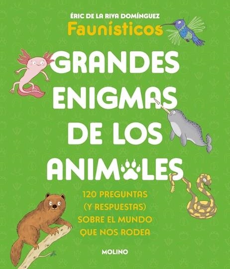GRANDES ENIGMAS DE LOS ANIMALES (COLECCIÓN GRANDES ENIGMAS) | 9788427253698 | DE LA RIVA DOMÍNGUEZ, ÉRIC | Llibreria Drac - Llibreria d'Olot | Comprar llibres en català i castellà online