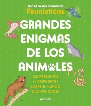 GRANDES ENIGMAS DE LOS ANIMALES (COLECCIÓN GRANDES ENIGMAS) | 9788427253698 | DE LA RIVA DOMÍNGUEZ, ÉRIC | Llibreria Drac - Llibreria d'Olot | Comprar llibres en català i castellà online