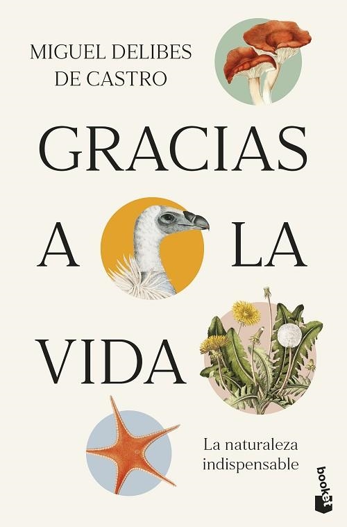 GRACIAS A LA VIDA | 9788423369539 | DELIBES, MIGUEL | Llibreria Drac - Llibreria d'Olot | Comprar llibres en català i castellà online