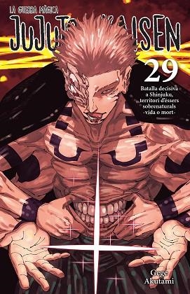 JUJUTSU KAISEN, 29 CATALA | 9788467976274 | AKUTAMI, GEGE | Llibreria Drac - Llibreria d'Olot | Comprar llibres en català i castellà online