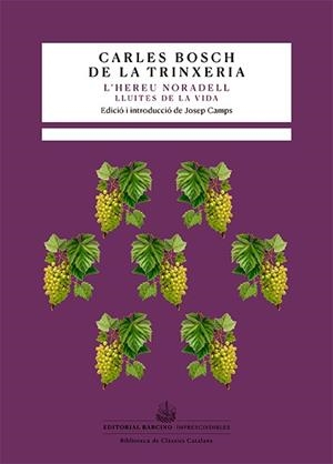 HEREU NORADELL, L' | 9788416726615 | BOSCH DE LA TRINXERIA, CARLES | Llibreria Drac - Llibreria d'Olot | Comprar llibres en català i castellà online