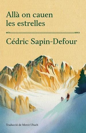 ALLÀ ON CAUEN LES ESTRELLES | 9788417353711 | SAPIN-DEFOUR, CÉDRIC | Llibreria Drac - Librería de Olot | Comprar libros en catalán y castellano online