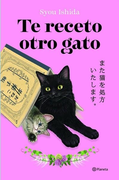 TE RECETO OTRO GATO | 9788408318705 | ISHIDA, SYOU | Llibreria Drac - Llibreria d'Olot | Comprar llibres en català i castellà online