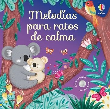 MELODÍAS PARA RATOS DE CALMA | 9781806070084 | TAPLIN, SAM | Llibreria Drac - Librería de Olot | Comprar libros en catalán y castellano online
