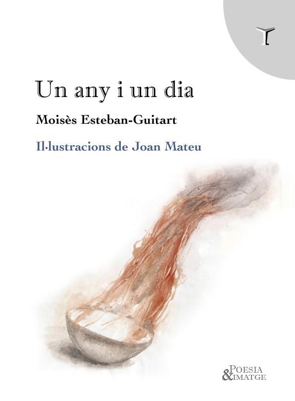 UN ANY I UN DIA | 9791399187205 | ESTEBAN GUITART, MOISÈS | Llibreria Drac - Llibreria d'Olot | Comprar llibres en català i castellà online
