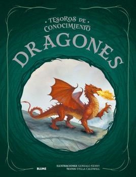 DRAGONES (TESOROS DE CONOCIMIENTO) | 9791387881191 | KENNY, GONZALO; CALDWELL, STELLA | Llibreria Drac - Llibreria d'Olot | Comprar llibres en català i castellà online