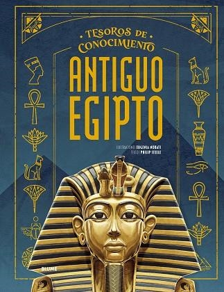 ANTIGUO EGIPTO (TESOROS CONOCIMIENTO) | 9791387881214 | NOBATI, EUGENIA; STEELE, PHILIP | Llibreria Drac - Llibreria d'Olot | Comprar llibres en català i castellà online
