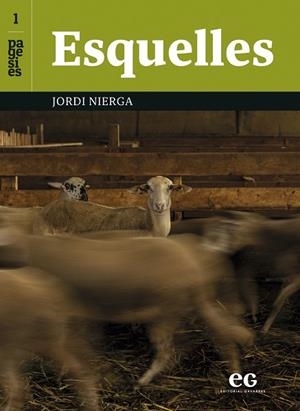 ESQUELLES | 9788419292506 | NIERGA HUGAS, JORDI | Llibreria Drac - Llibreria d'Olot | Comprar llibres en català i castellà online