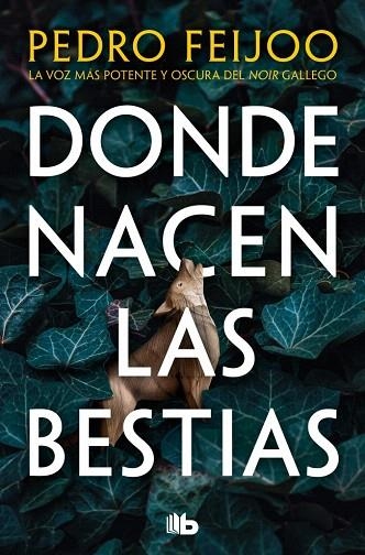 DONDE NACEN LAS BESTIAS | 9791387652357 | FEIJOO, PEDRO | Llibreria Drac - Librería de Olot | Comprar libros en catalán y castellano online